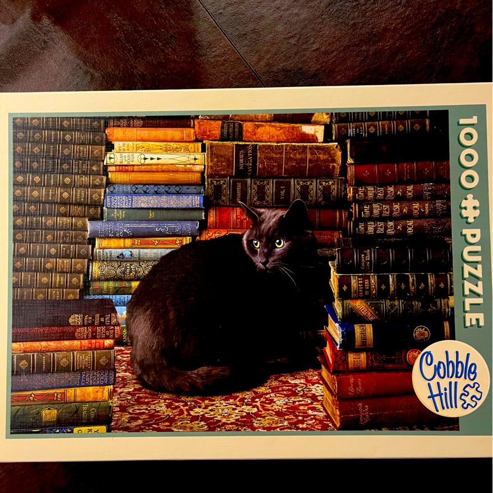 Cobble Hills Cat in Library Jigsaw Puzzle